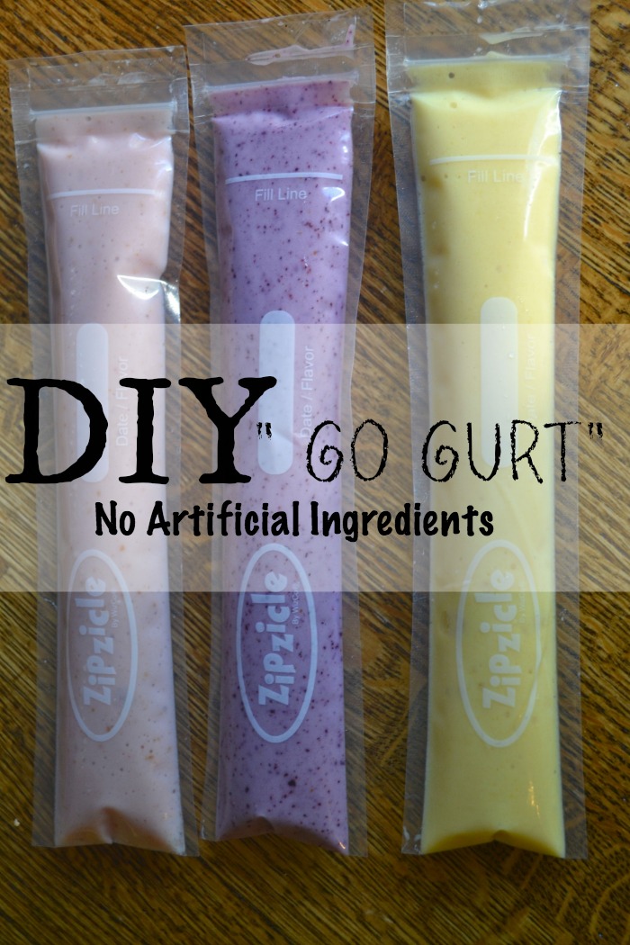 gogurt14