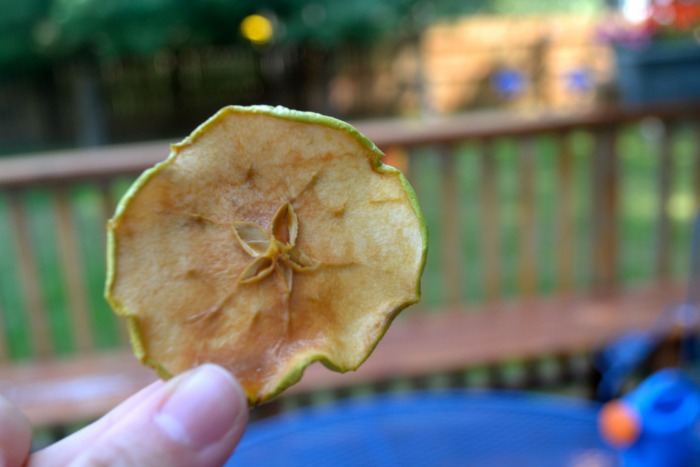 applechips6